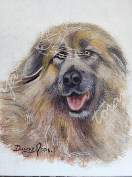 IMG_20250921_113735-1